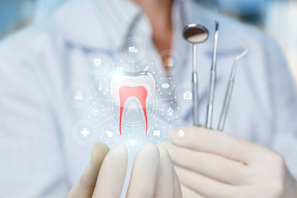 Professional Dental Services in Slippery Rock, PA